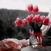 gulzhanat_437