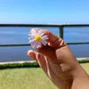 manuela02105