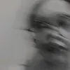 fernandaaltivapet