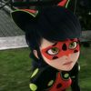 ladybug_mzr0
