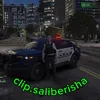 clip.saliberisha
