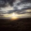 lbroady_20