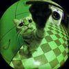 mister_crowman35
