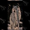 iyed.wolf