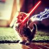 ilikecatsandstarwars