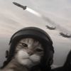 hamid_1034