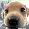 daily_dsophi