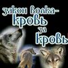 user9502384071324