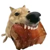 conpate_kine