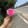 miss_lavender13