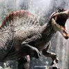 asset_spino