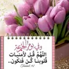 user1683184360605