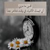 mubarekmuhamed7
