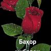shahoboo7