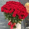 nourelhoudahamdi7