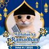 zahier_xdpro