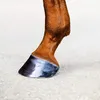 userabuseryouraloser