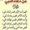 user41163051927151
