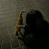berry_22200