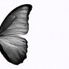 _indomilk3
