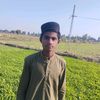 qamardin785