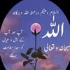 afzal.jutt.7861