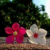 pureheart941