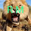 rafeeqbaloch0077