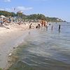 user1230831520709