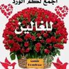 user8051461240408