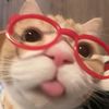 helloyyiiiie_