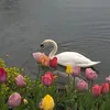 s_e_o3
