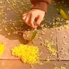 nizfaw_magic
