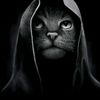 مہجہنہونہه♌ لُـِـِِـِِِـيو♌