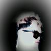 ooshine2009