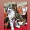 soufiasama