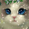 dios_is_love_and_life