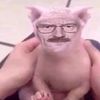 stefanretard123