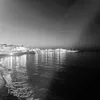 nzd009