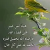 nabilaisshakissha