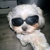 bumbum_1454