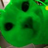 glagglegreeny
