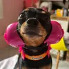 heloisa.da.silva055