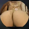 edgar152025