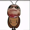 phm.ng.khoa01