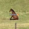 i.like.monkey43