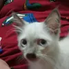 jewelvillaran8