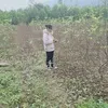 xunxun424