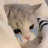 tun.anh7536