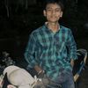 husinnst06
